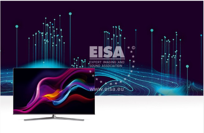 ELSA Family TV 2021-2022 Hisense 65U8GO