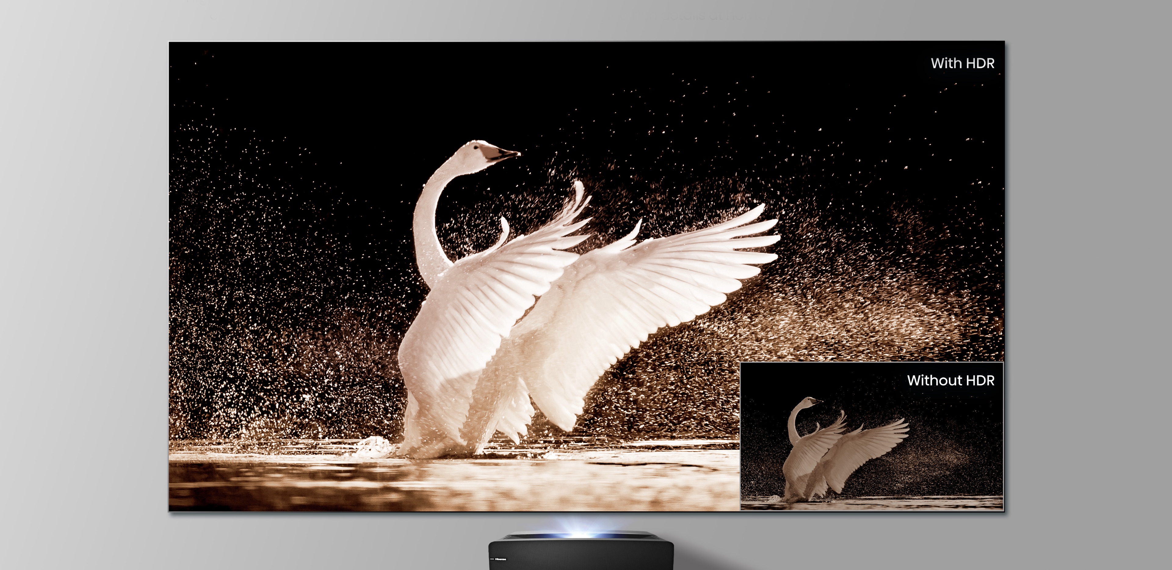 Hisense 120L5 - Experience Incredible Contrast