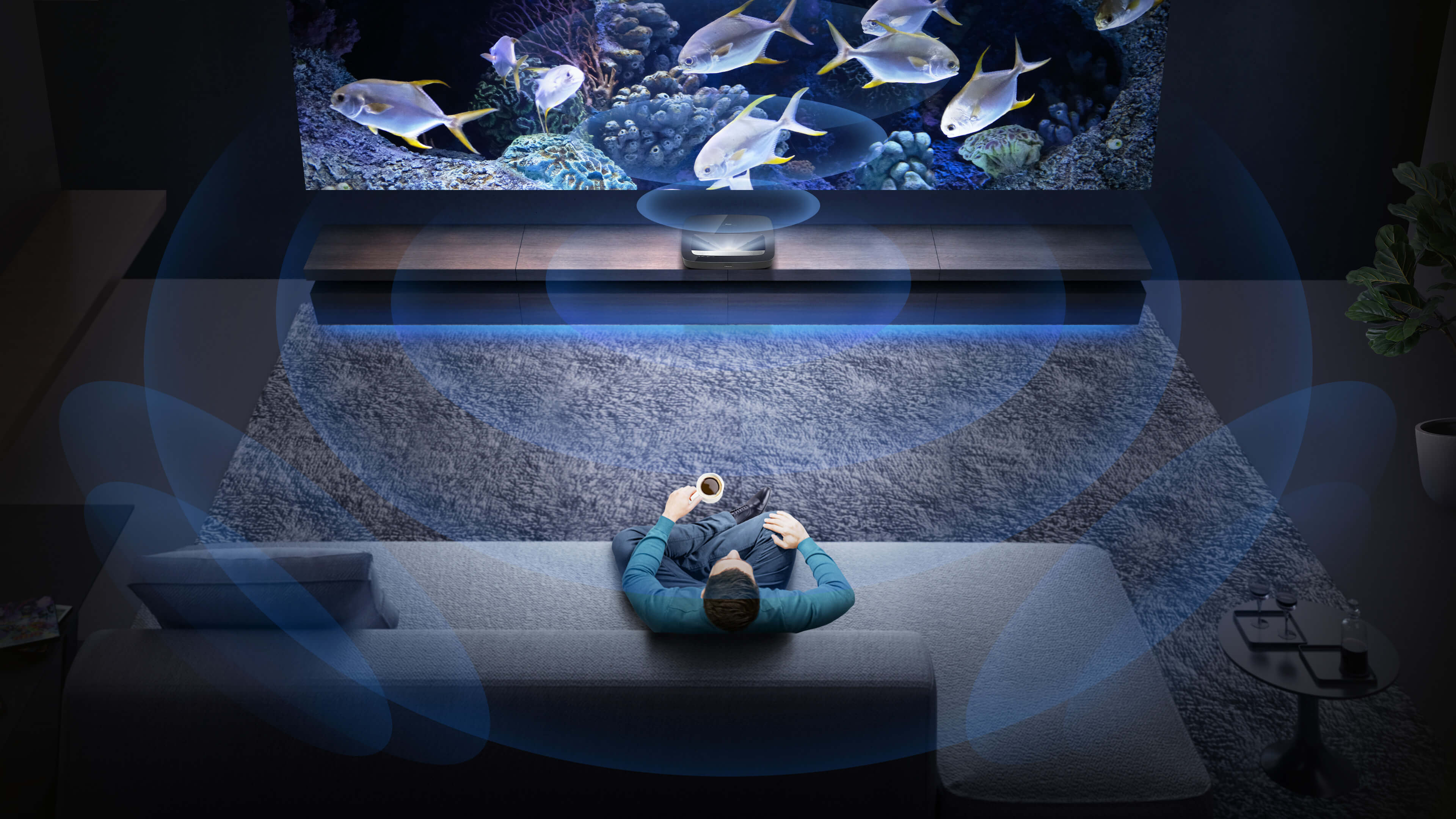 PL1H 4K Smart Laser Cinema - Hisense Global