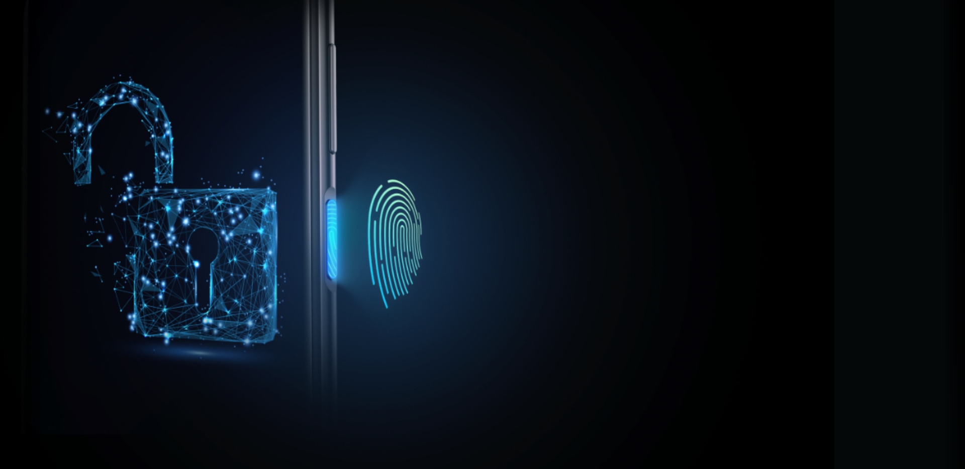 HISENSE INFINITY H50 ZOOM - ACCESS FINGERPRINT