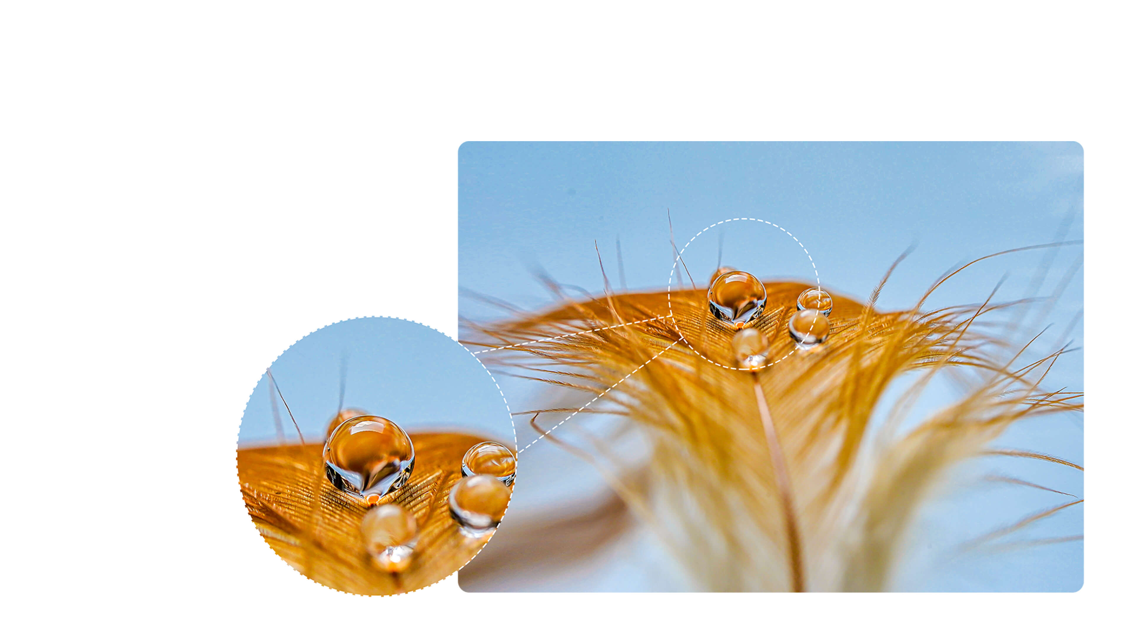 HISENSE INFINITY H50S 5G - Macro Shot