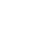 Hisense 100L9G Ultra Short Throw Icon