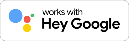 Hisense A6G - Hey Google icon