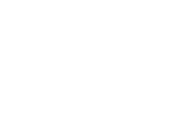 Hisense 100L9G 100 Optimized large screen icon